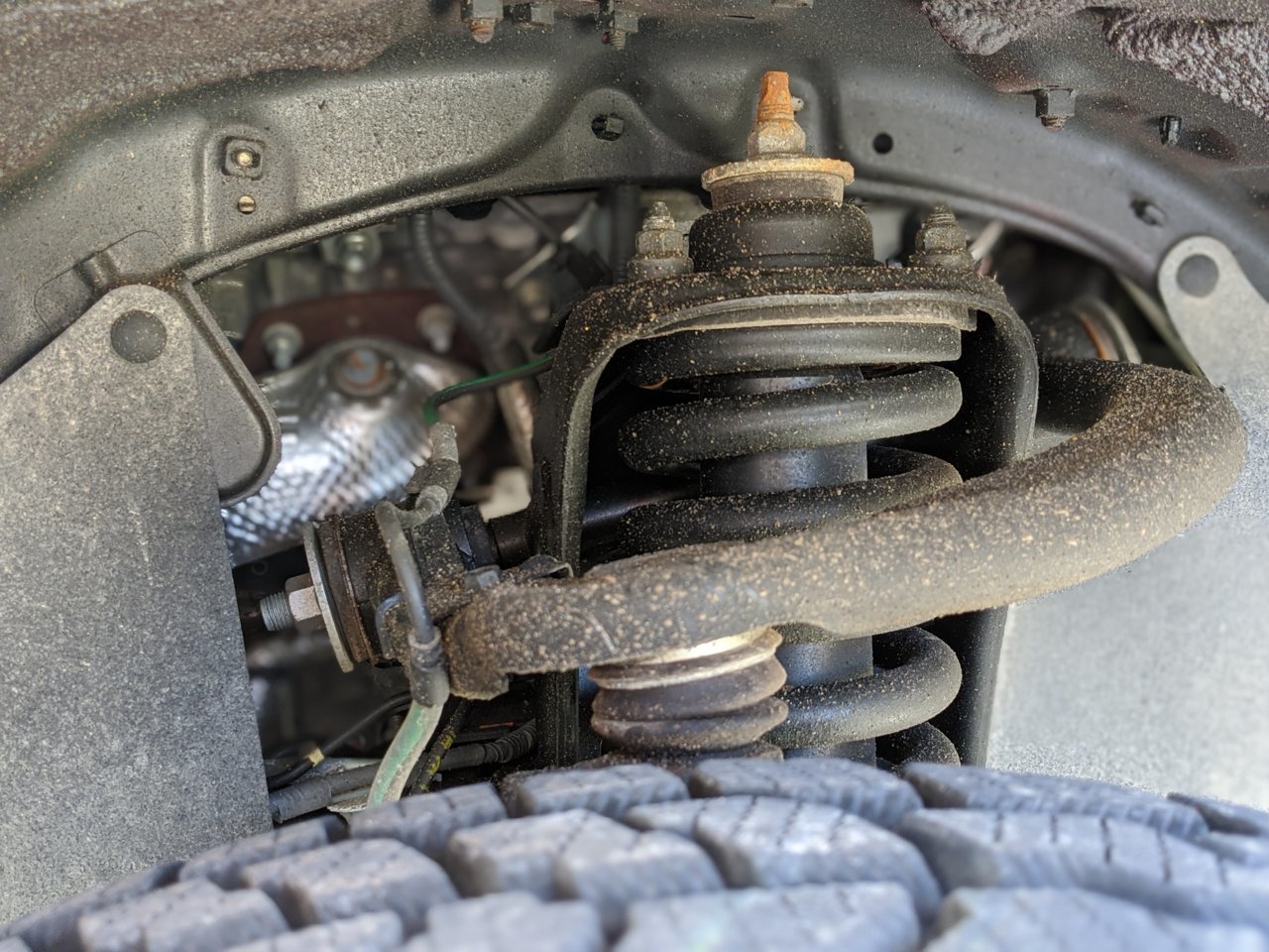 OEM Splashguard.jpg