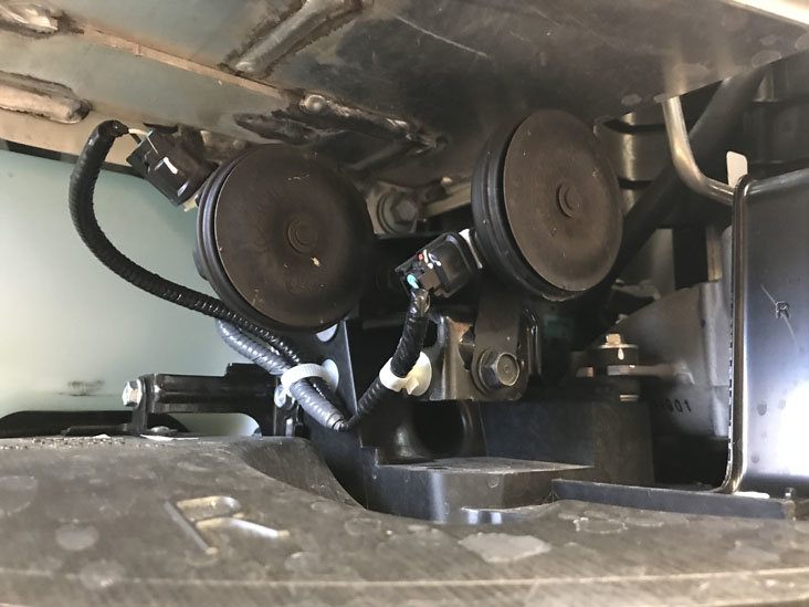 OEM_Horns.jpg