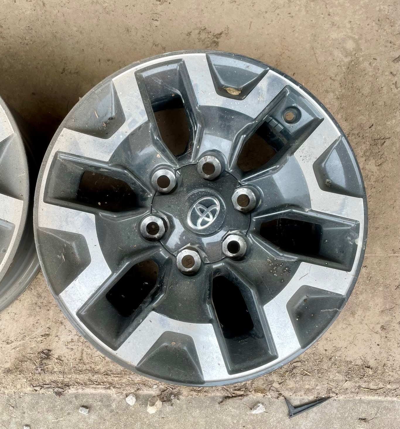 OEMWheel01.jpg