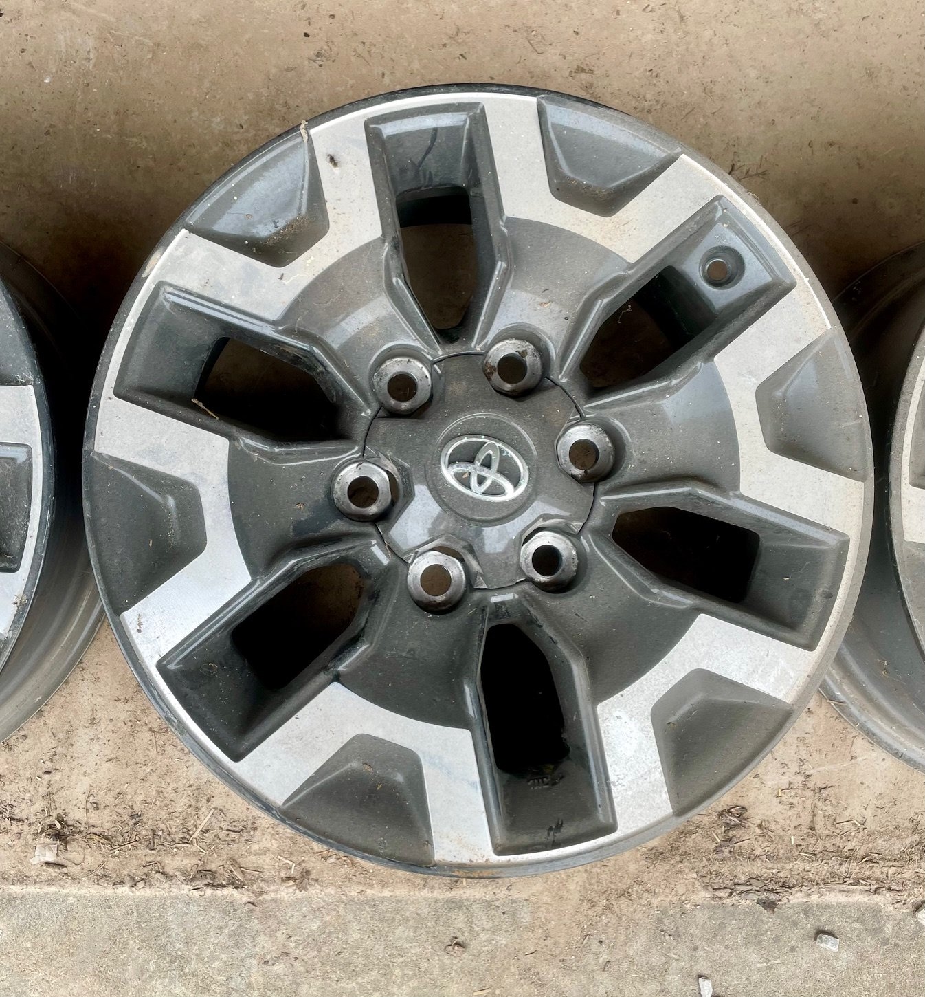 OEMWheel02.jpg