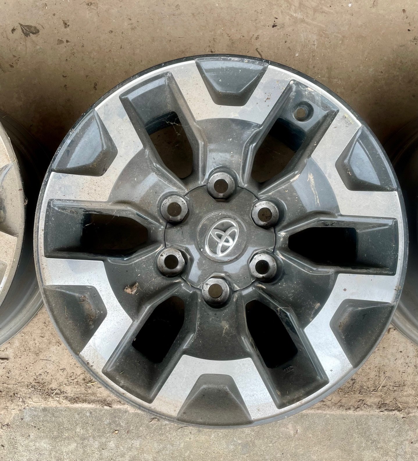 OEMWheel03.jpg