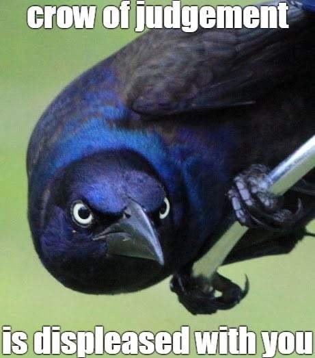 OfDvSnP.jpg