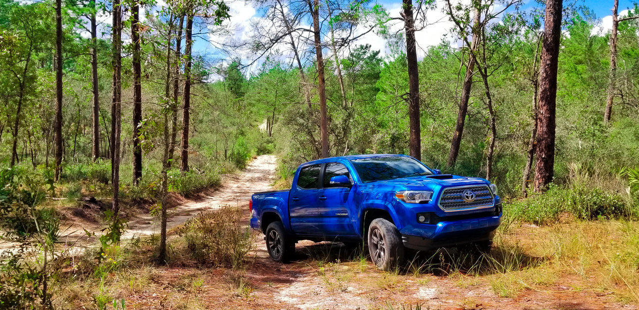 Off-Roading.jpg