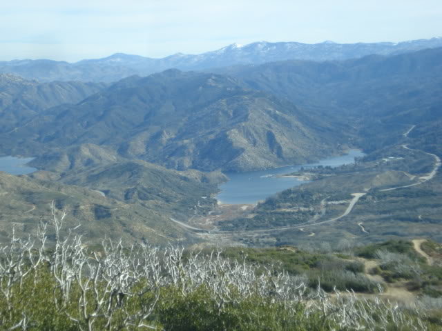 OFF181_64e2f5fe8e0e8ea8526d563c247a16a9456d3972.jpg
