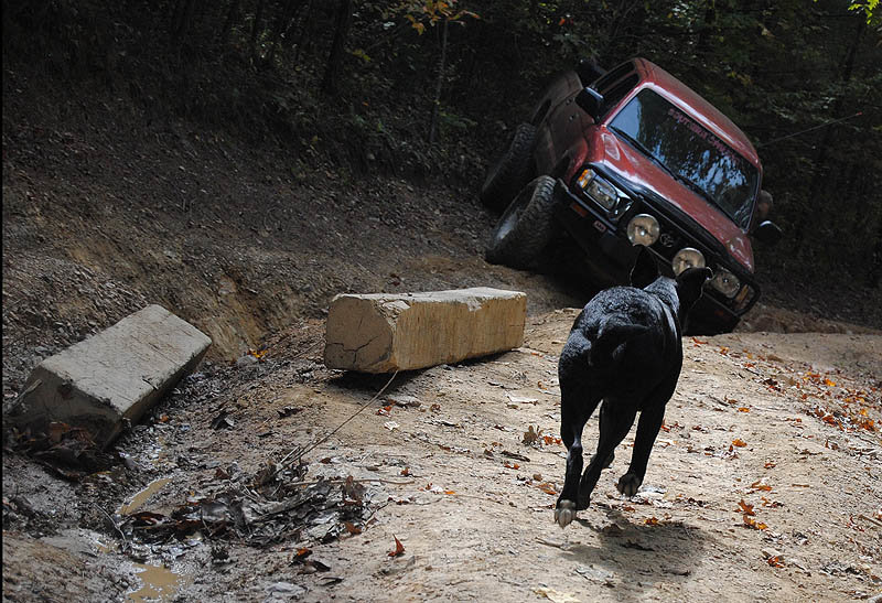 offroad8_zpsc401b0e0_03a9e40366761957f53c1217821331fe2f0a1738.jpg