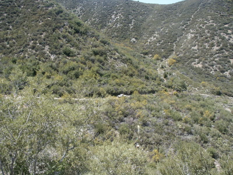 OffRoading028_e39a438500312b71cc927f99aadf2a52d65a86ac.jpg