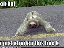 oh-hai-sloth_6506839a7538667d1cb60ff591085106a7948776.jpg