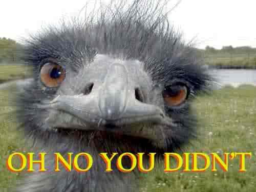 oh-no-you-didnt_b067bef2eb70f14a2592fa220a6217befdd652e4.jpg
