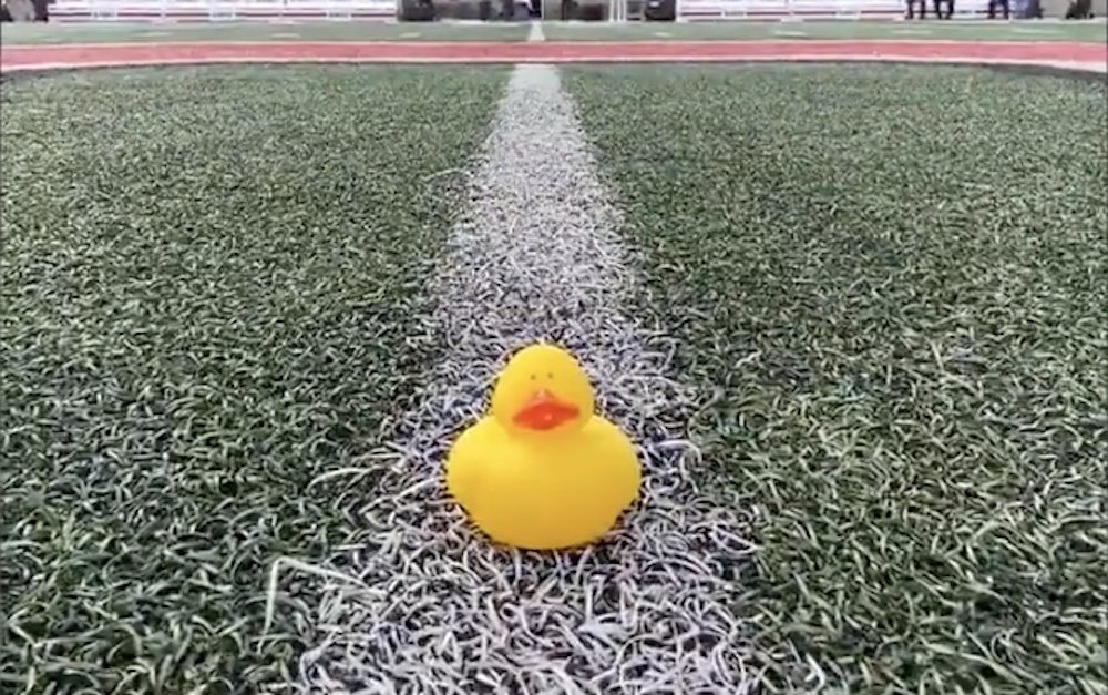 Ohio-State-Duck.jpg