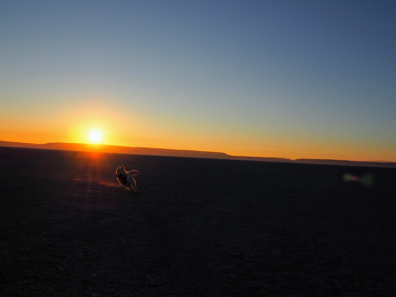 OI000015_2.jpg