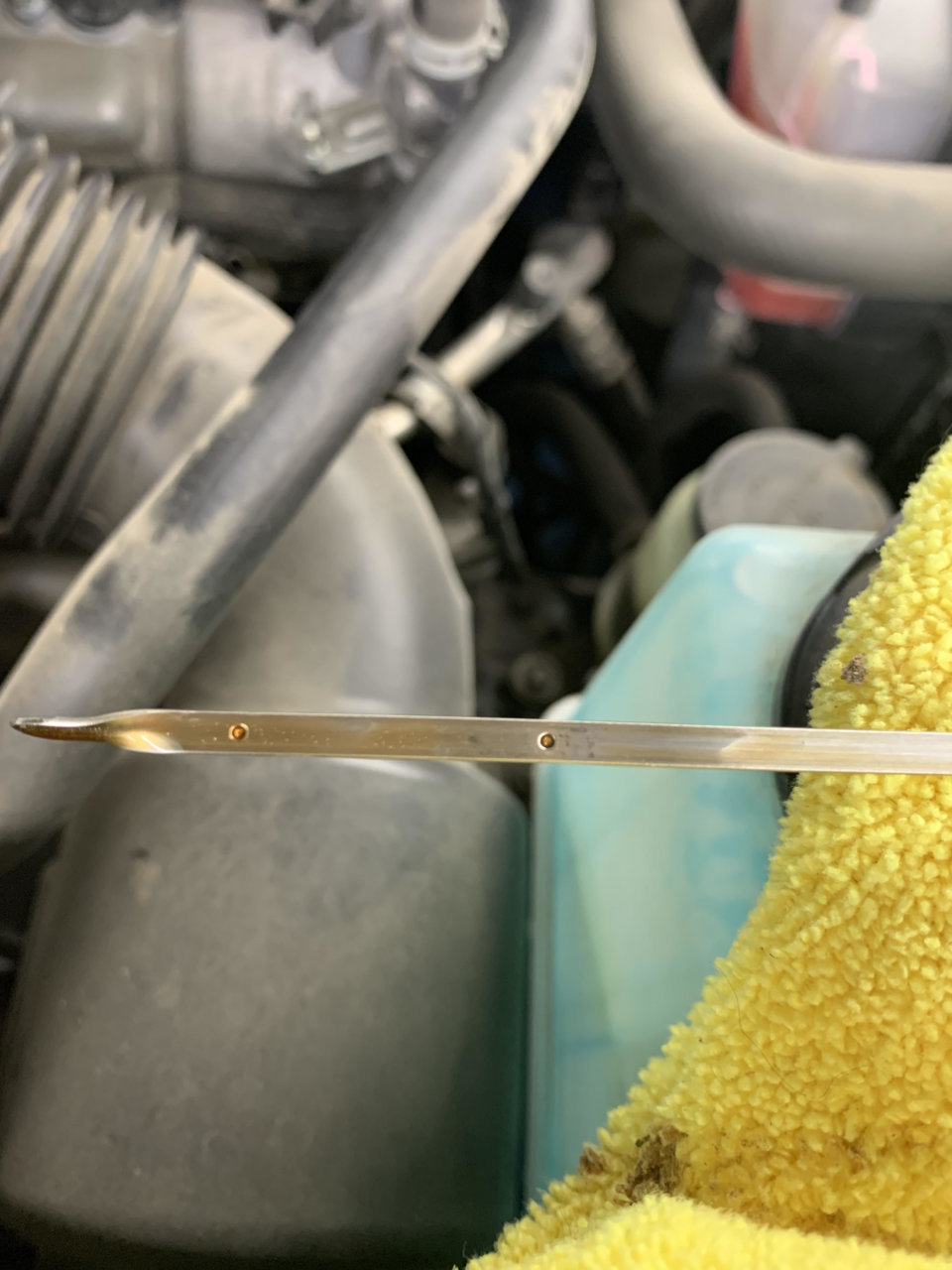 oil check tacoma.jpg