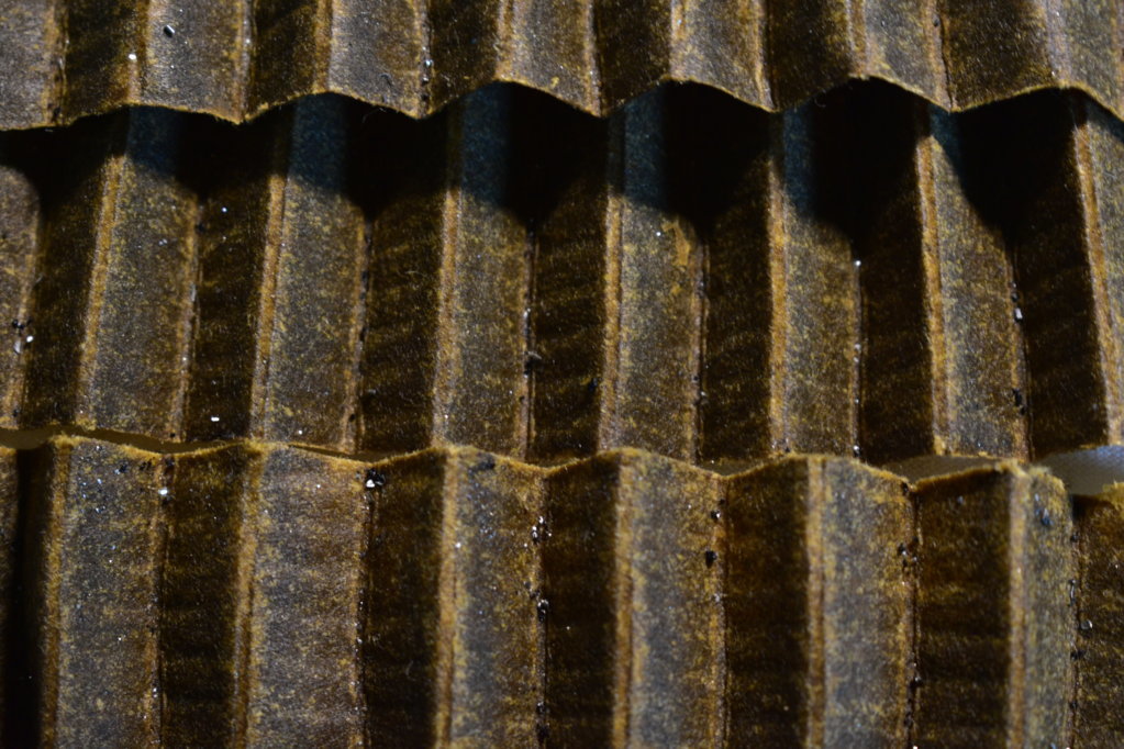 oil filter (4).jpg