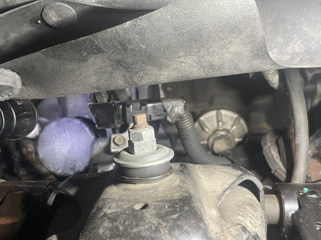 oil filter and cooler.jpg