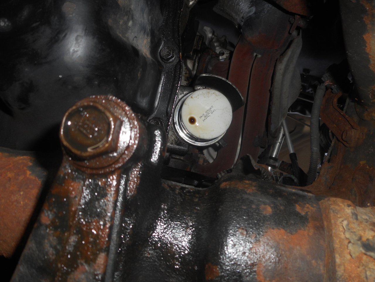 Oil leak.jpg