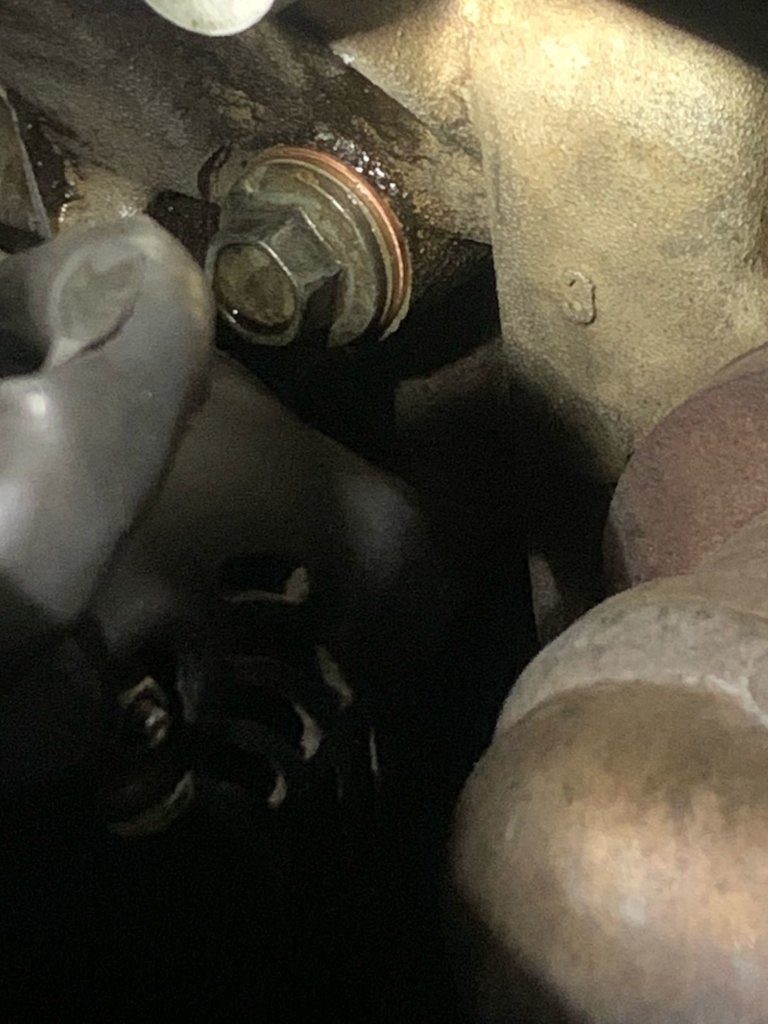 oil leak.jpg