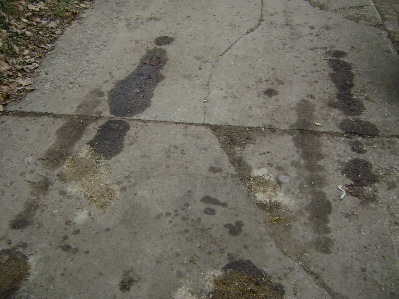 oil stains 001.jpg