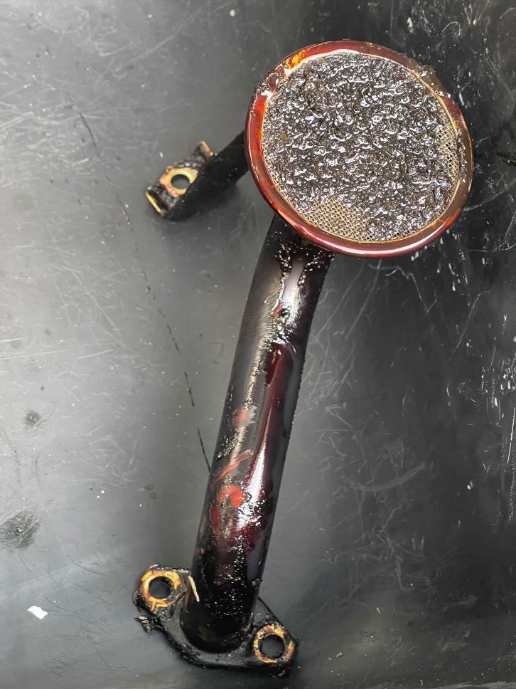 Oil strainer almost fully clogged.jpg
