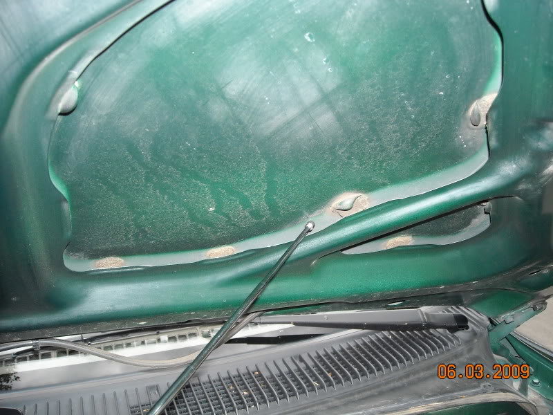 OilCannedHood2_825421ee94453ad4cc5dfb7956dd92d474d391be.jpg