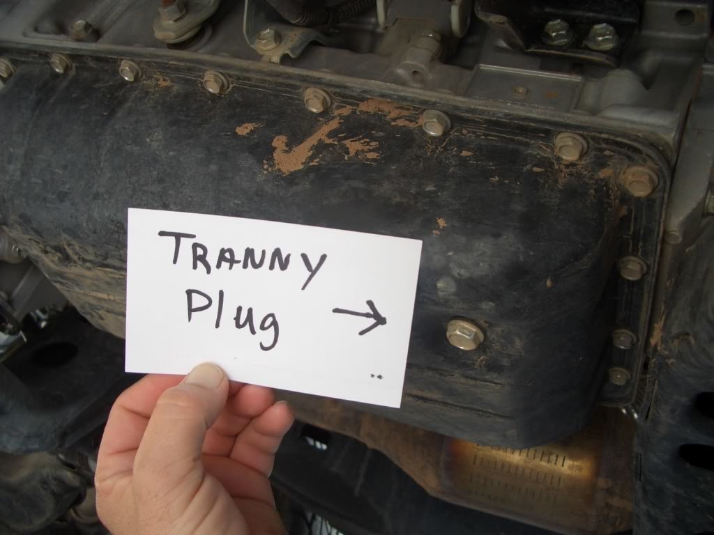 oilchangeplug004_f82e082c5961f2f56c49700bf59120f5c5438406.jpg