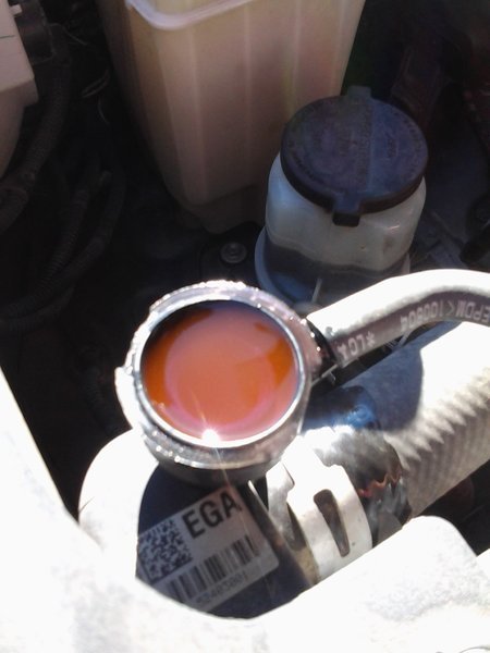 oilnotincoolant.jpg