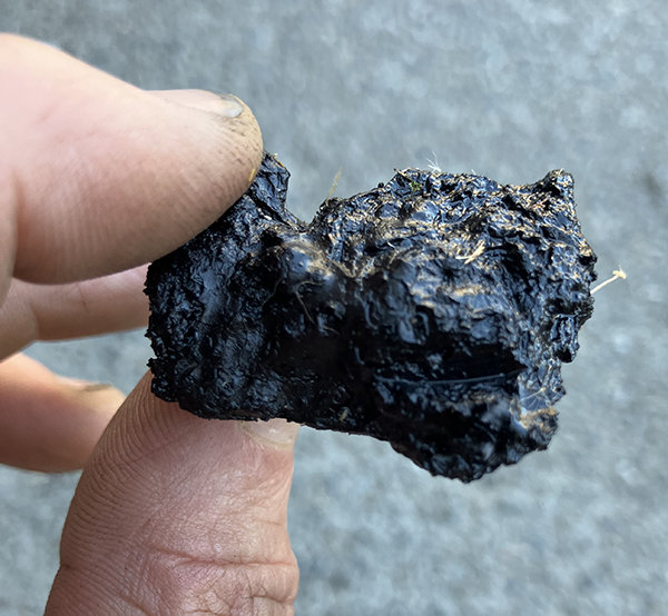 OilRock.jpg