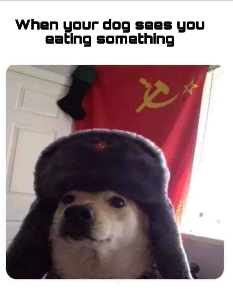 ojumuonixqb61.jpg