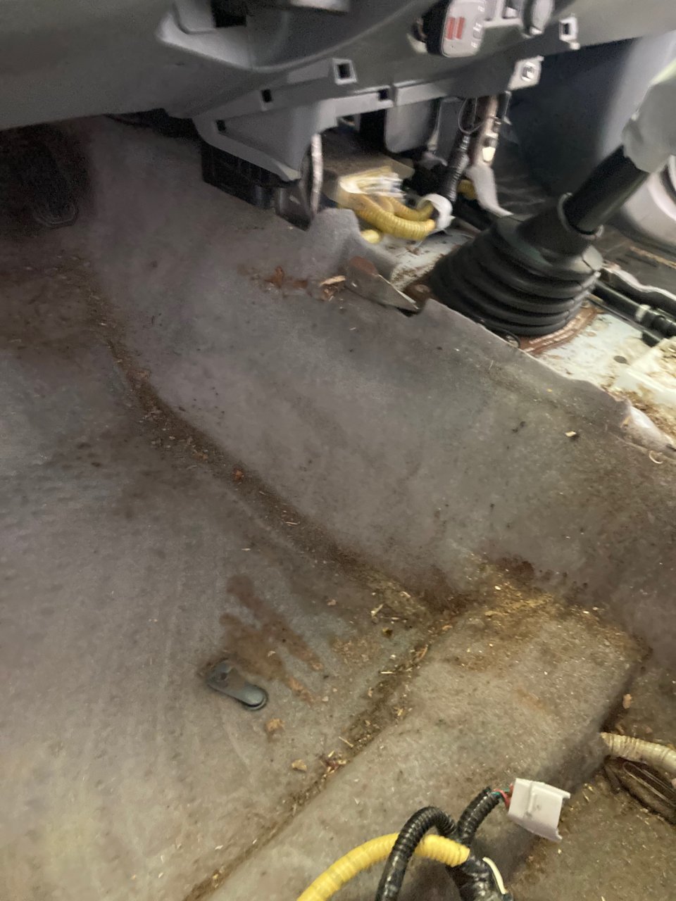 Old carpet.jpg