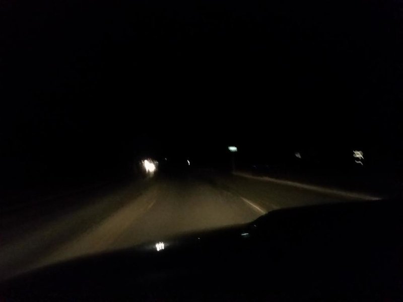 old fogs 3.jpg