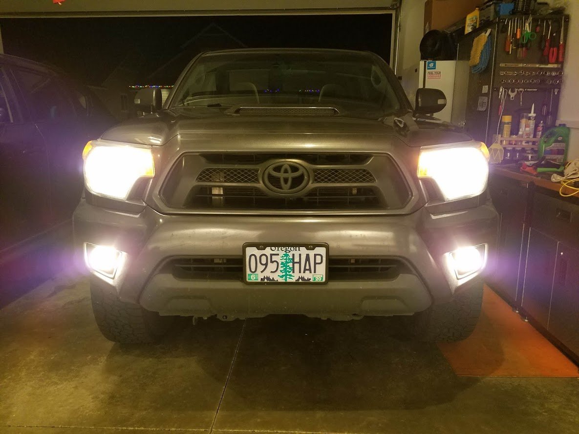 Old fogs.jpg