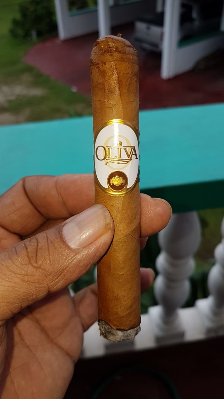 Oliva.jpg