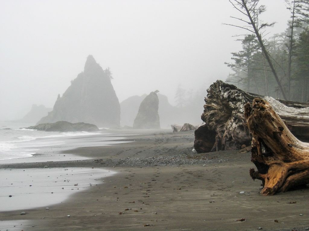 Olympic-National-Park-Washington-©-Jiashiang-Flickr-e1423084936342.jpg