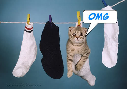 omg-1569_07b812e07b9355cc4cfe92ebc14fa776a15467df.jpg