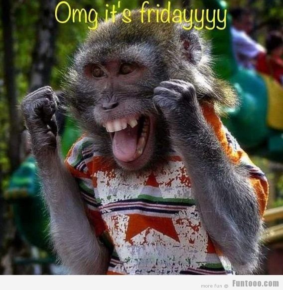 OMG-its-Friday.jpg