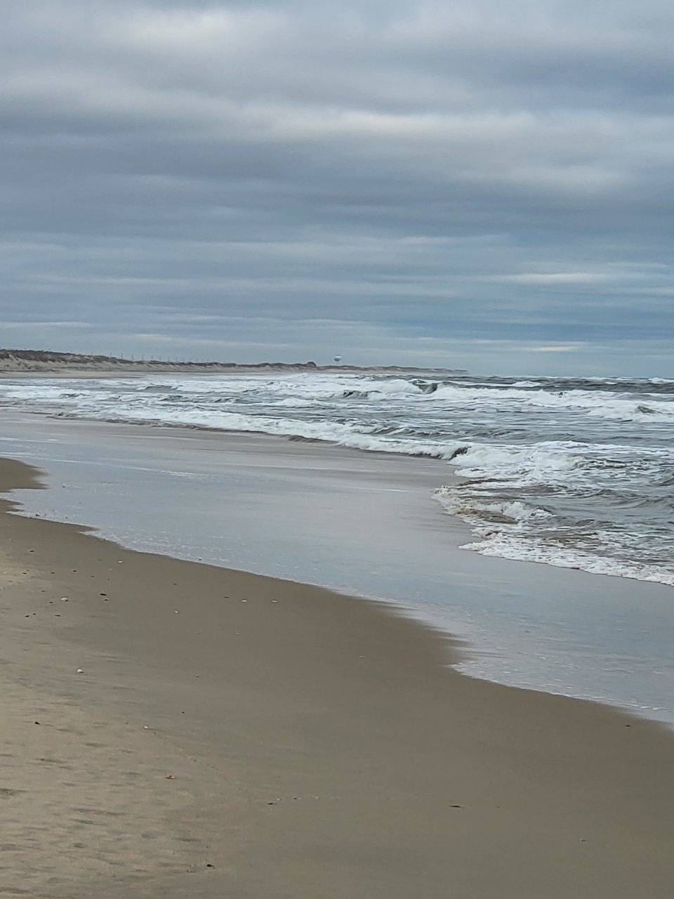 on the beech 2.jpg