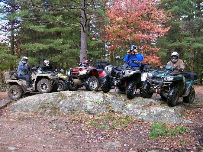 On the rock.jpg
