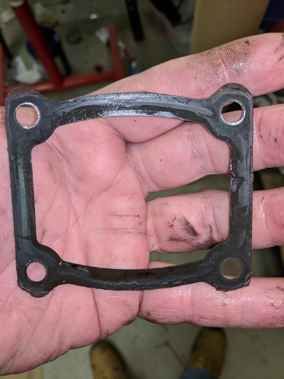One Side of gasket.jpg