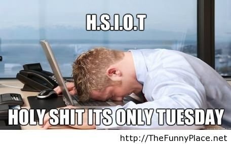 Only-tuesday-funny-picture.jpg
