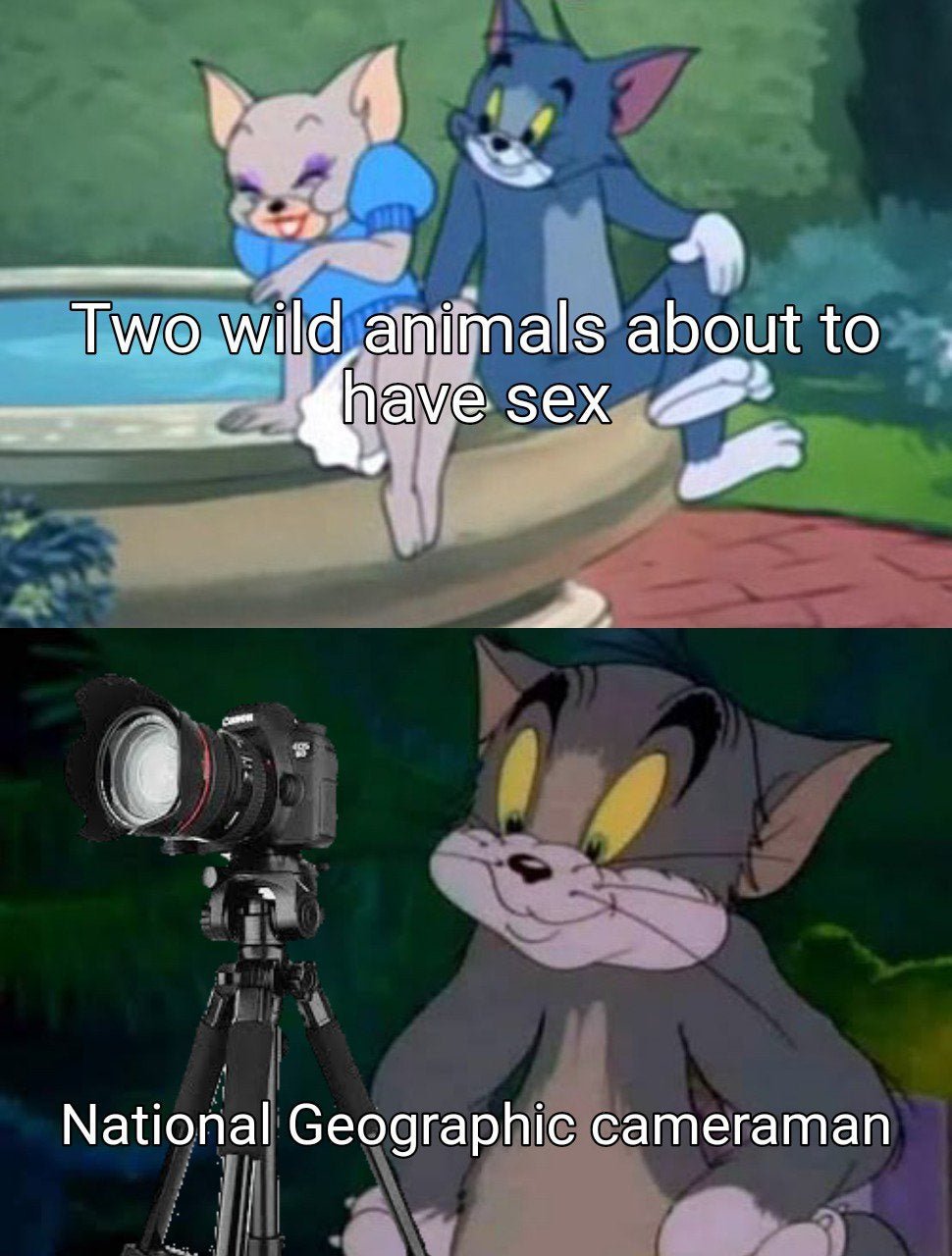 OOLV0QGFqs_QSa0WlGnwyuwrr8gjYdGWJCjrSniV1n8.jpg
