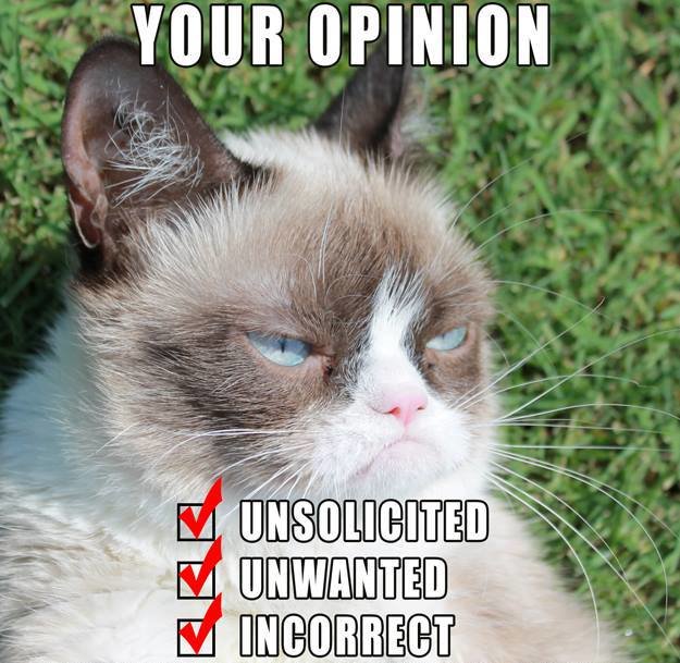 opinion.jpg