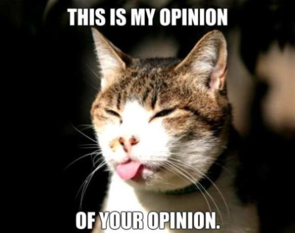 opinion1.jpg