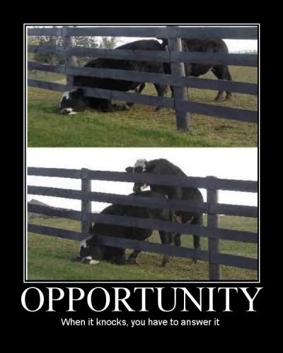 opportunity_b67f7a041fbb12de7b9d548aef46a8c8c4915216.jpg