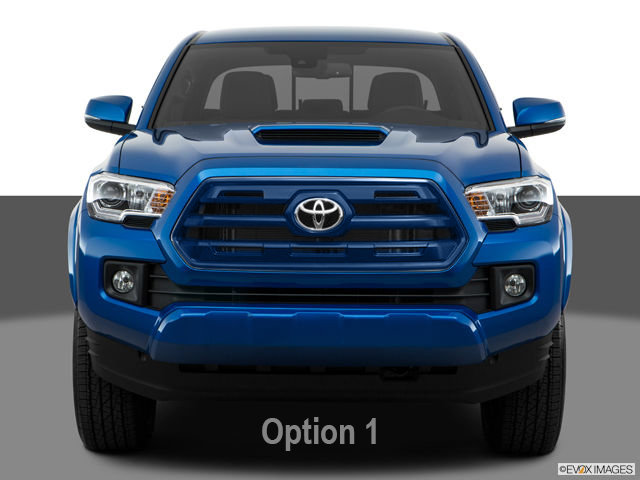 Option 1.jpg