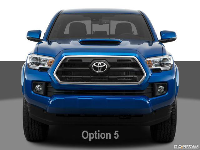 Option 5.jpg