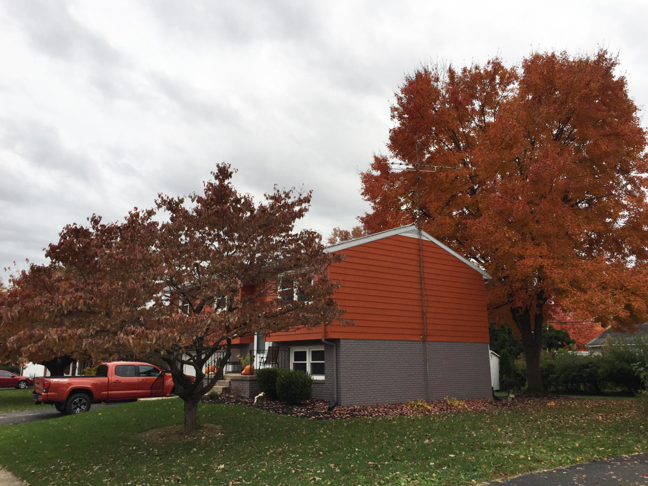 orange fall tacoma.jpg