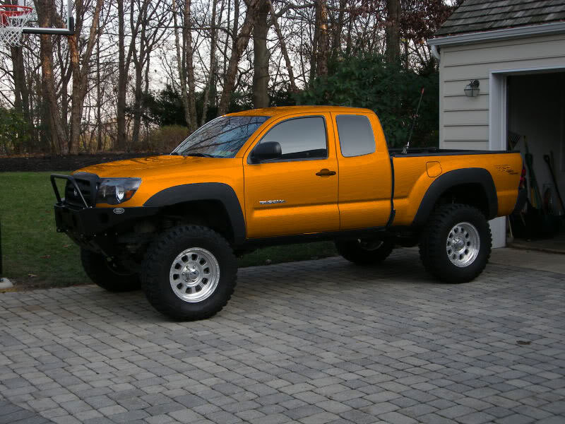 Orange_7ccf5c8fc97e7d2bf91a9b914467ffc177a240a6.jpg
