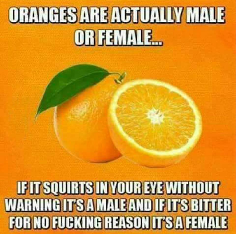Oranges.jpg