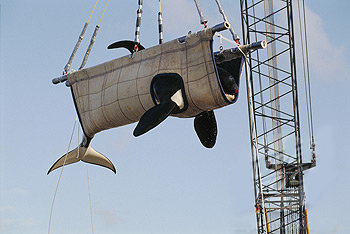 orca-crane.jpg