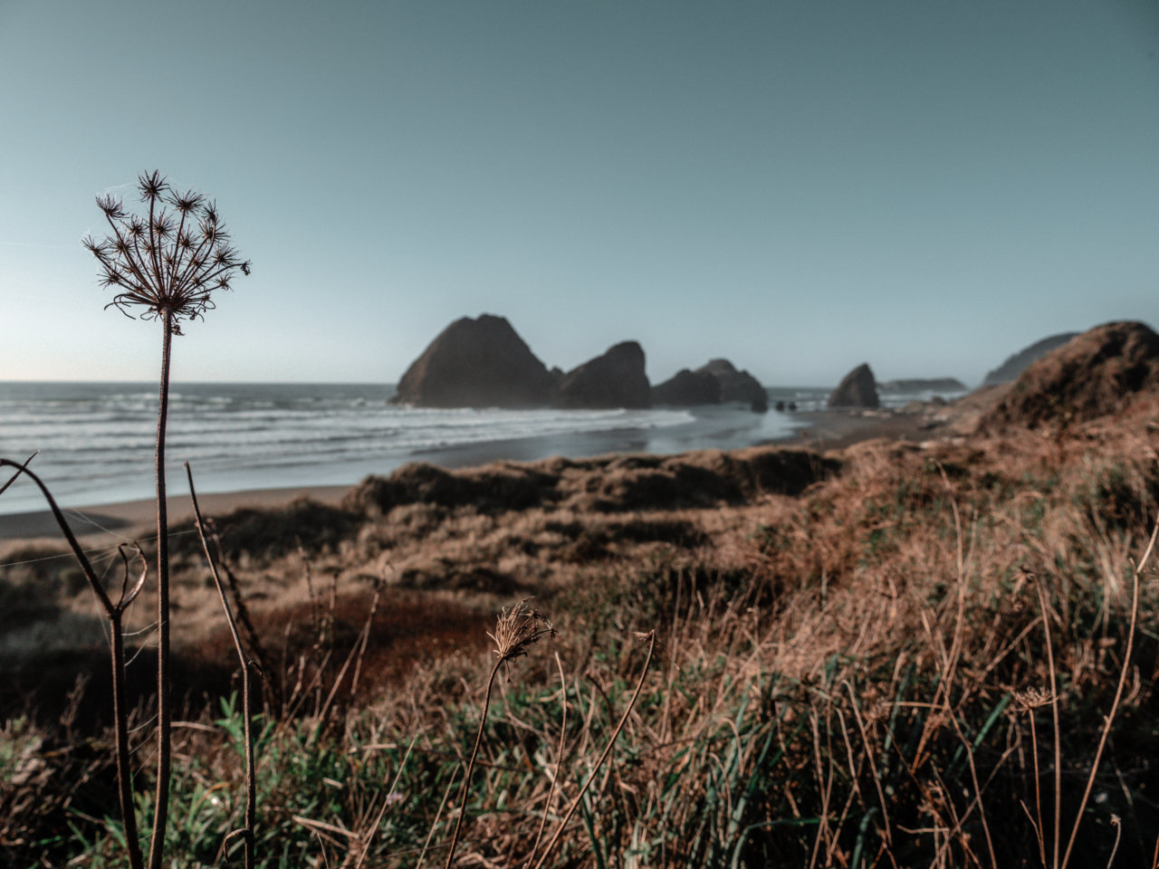 oregon3.jpg