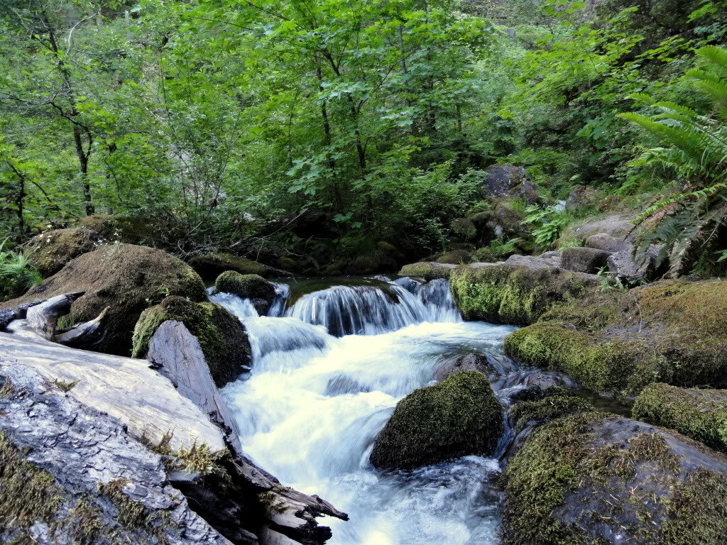 OregonCascades061_75dca5867c996937cd96ad0845f9e842d9b09bd9.jpg