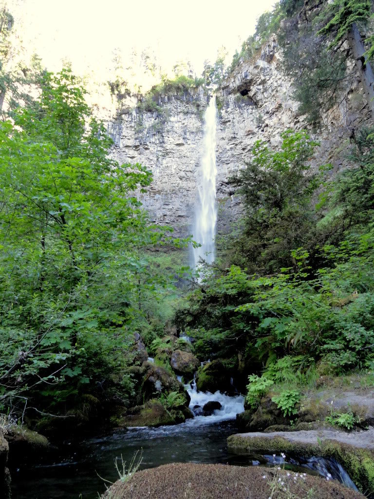 OregonCascades062_361a6a19e5079248d353882224916bfac31c4155.jpg